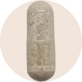 Nitric Oxide Foundation