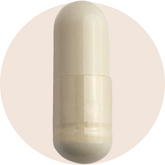 Momentous | Acetyl L-Carnitine