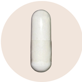 Momentous | L-Theanine