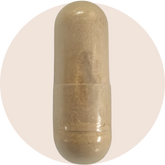 Ergo + Ergothioneine