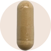 Organic Lions Mane Extract Capsules