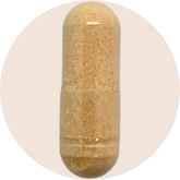 Activated B-Complex - High Potency