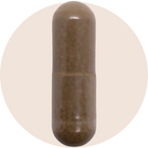 Black Cohosh Root