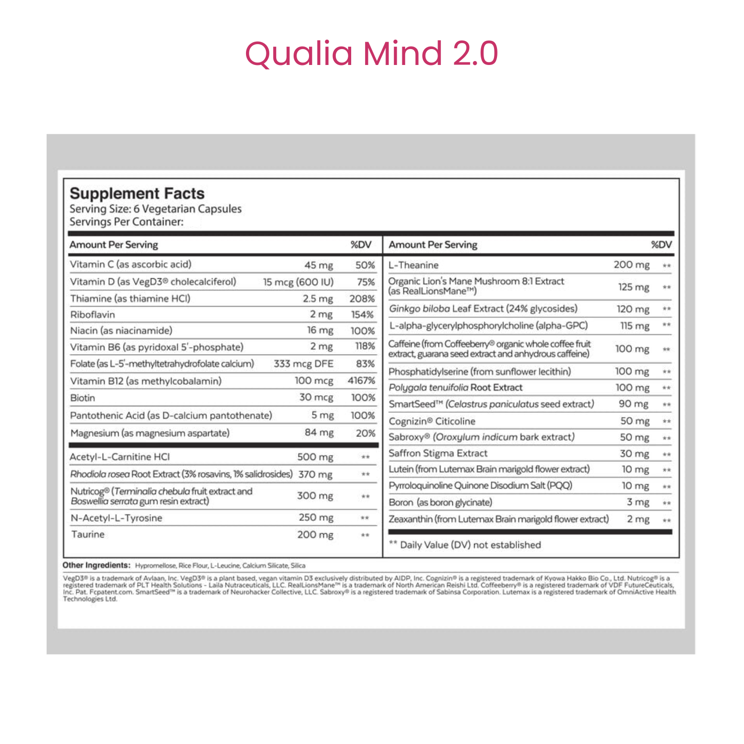 Qualia Mind 2.0