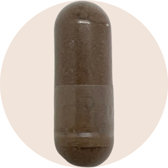 5 Defenders Organic Mushroom Blend