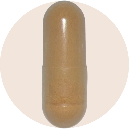 Organic Cordyceps Extract Capsules