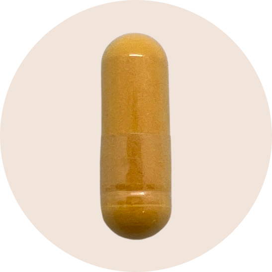 CoQ10 Ubiquinone